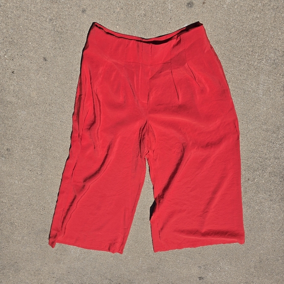Anthropologie Red Size 10 New Wide Leg Pleated Dress Pants Pockets - Picture 2 of 9